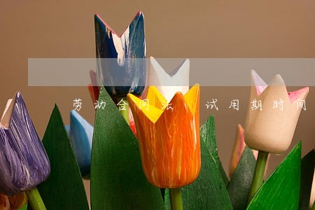 劳动合同法 试用期时间 劳动合同法 试用期时间